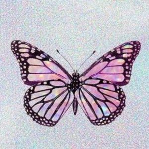 Meet your Posher, Roxy